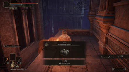 Elden Ring - Roof Rejuvenating Boluses.png