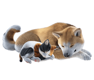 MH Rise Sunbreak - Preorder Bonus Palico and Palamute Layered Armor