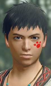 MH Rise Sunbreak - Paw Print Face Paint