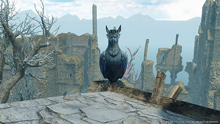 MH Rise Sunbreak - How to Find Gargolda