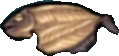 Dried Shieldfish Icon