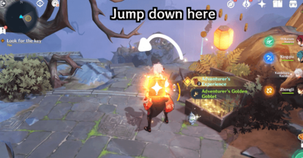 Genshin - Jump down here