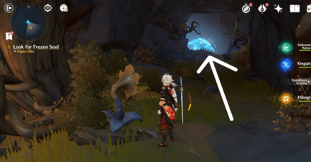 Genshin - Cryo Flower Frozen Soul