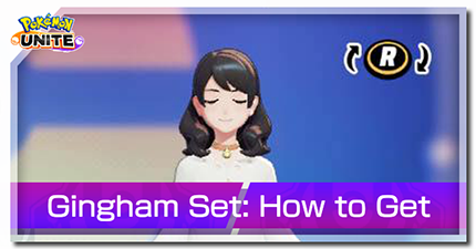 Gingham Set Banner.png