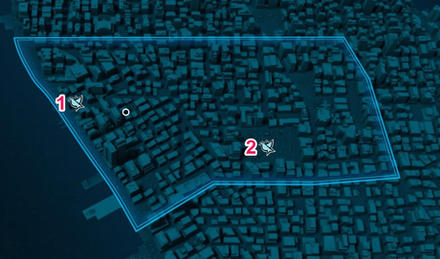 financial district pigeon