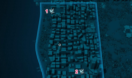 financial district pigeon