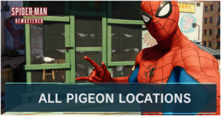 All Pigeon Locations