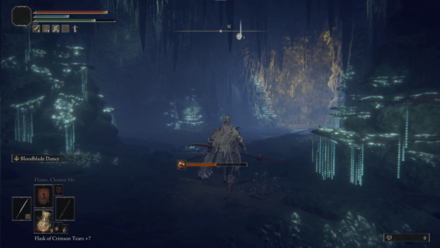 Ainsel River Main Step 24