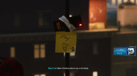 Play Me Black Cat Stakeout