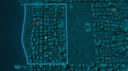 Black Cat Upper West Side