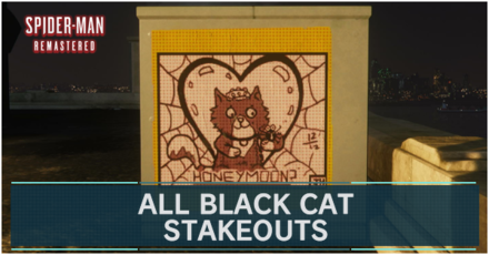 All Black Cat Stakeouts