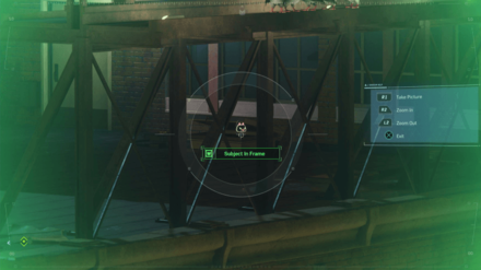 Financial District Black Cat 2