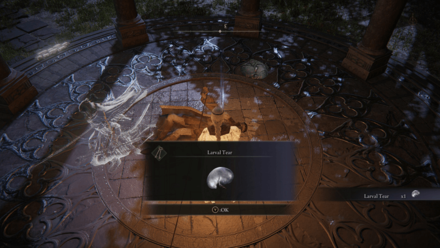 Larval Tear 2 Nokron Location