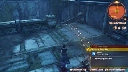 XC3 - Natural Selection