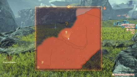 A Gray Matter Zoomed In Map