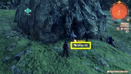 Stinger Pile Overworld Location.png