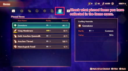 Check what Pinned Items you have collected in the Items Menu