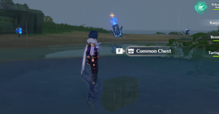 Genshin - Minacious Isle Hydro Totem Monument