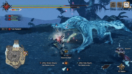 MH Rise Sunbreak - Prioritize Breaking Its Head, Back, and Tail