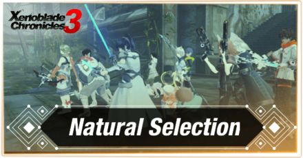 Natural Selection.png