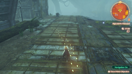 Natural Selection Trail.png