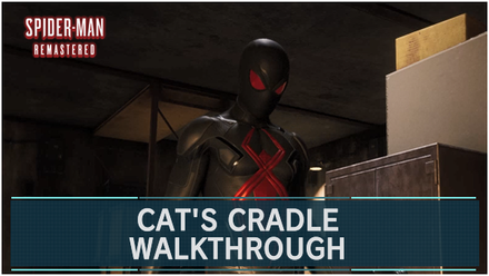 Spider-Man Remastered - Cat