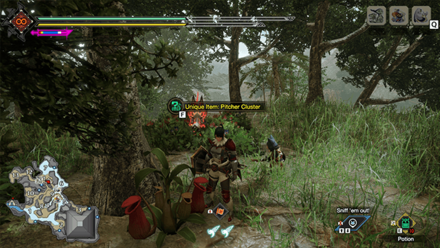 MH Rise Sunbreak - Pitcher Cluster 8