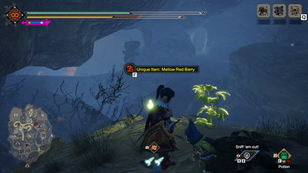 MH Rise Sunbreak - 10th Mellow Red Berry Gathering Node