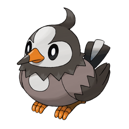 Pokemon SV - Starly