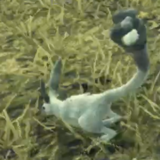 Xenoblade Chronicles 3 - Little Bunnit