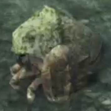 Xenoblade Chronicles 3 - Morg Krabble