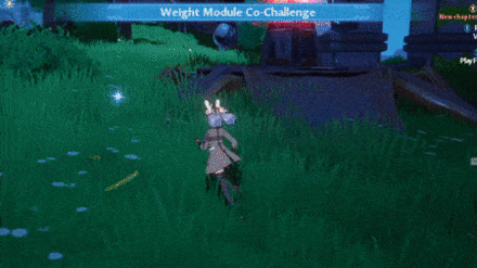 Weight Co op.gif