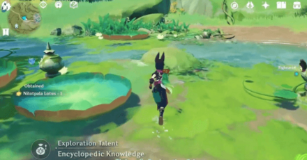 Genshin - Tighnari Passive