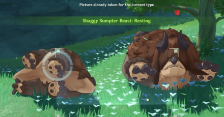 Genshin - Get Snapshots of Sumeru