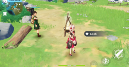 Genshin - Use a Stove or Campfire to Cook
