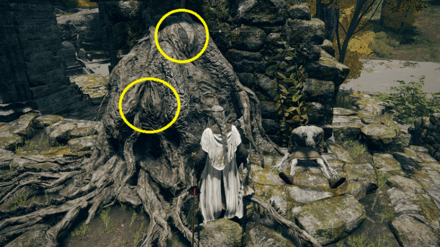 Godwyn Eyes Roots.png