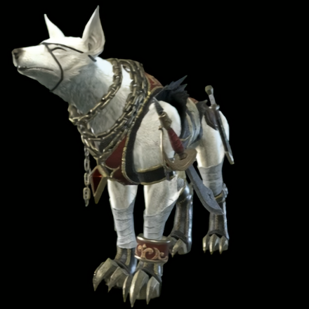 Canyne Blackbeard Set