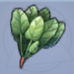 Lettuce
