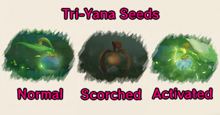 Genshin - Tri-Yana Seeds - Three States