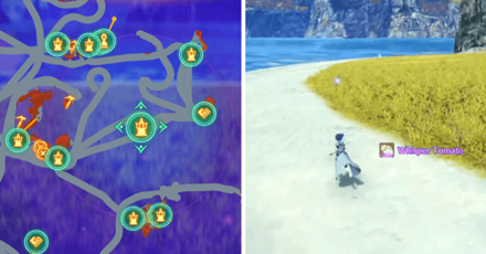 XC3 - Whisper Tomato