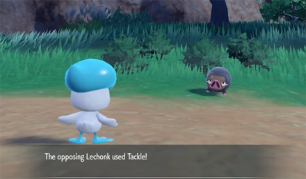 Pokemon Scarlet and Violet SV - Quaxly vs Lechonk