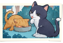 Genshin - A Journey Through Pages Encounter Records - Cats Encounter