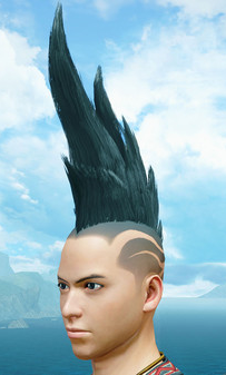 MH Rise Sunbreak - DLC Pack 6 - Spiribird Edge for Males