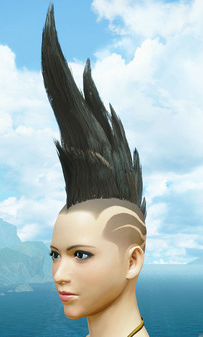 MH Rise Sunbreak - DLC Pack 6 - Spiribird Edge for Females