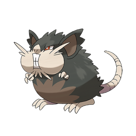 Alolan Raticate Image