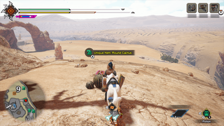 MH Rise Sunbreak - Round Cactus 4