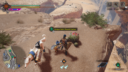 MH Rise Sunbreak - Round Cactus 3