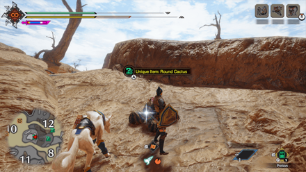 MH Rise Sunbreak - Round Cactus 8