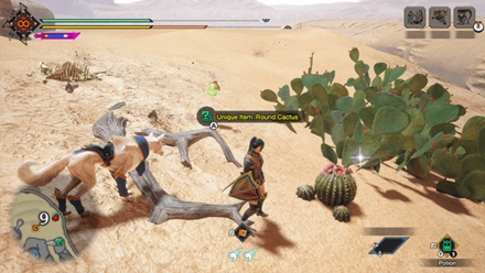 MH Rise Sunbreak - Round Cactus 5