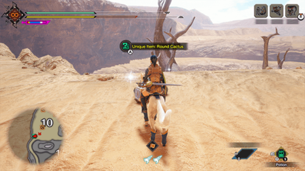 MH Rise Sunbreak - Round Cactus 9